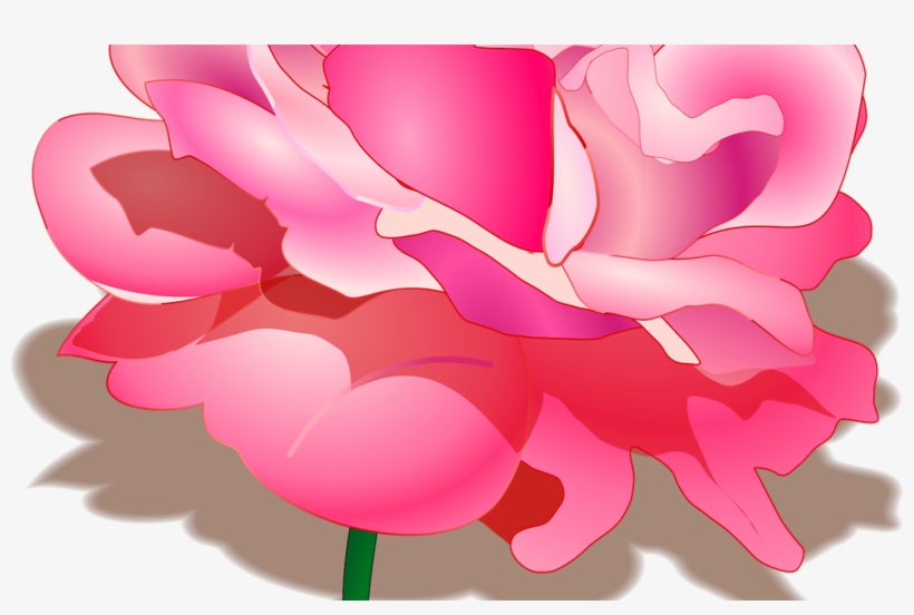 Rose Free Stock Photo Illustration Of A Pink Rose - Peony Clipart Transparent Background, transparent png download