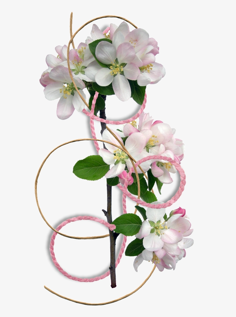 Flower Border Clipart - Flower Border, transparent png download