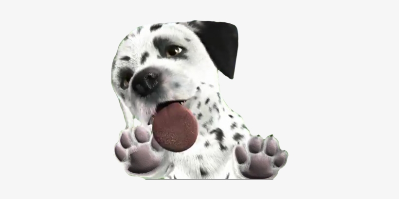 German Shepherd - - Medium, transparent png download