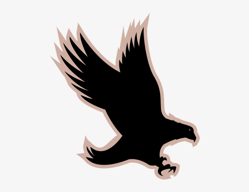 Hawkeye Electronic - Ojo De Halcón Animal, transparent png download