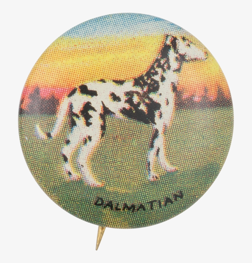 Dalmatian - Museum, transparent png download