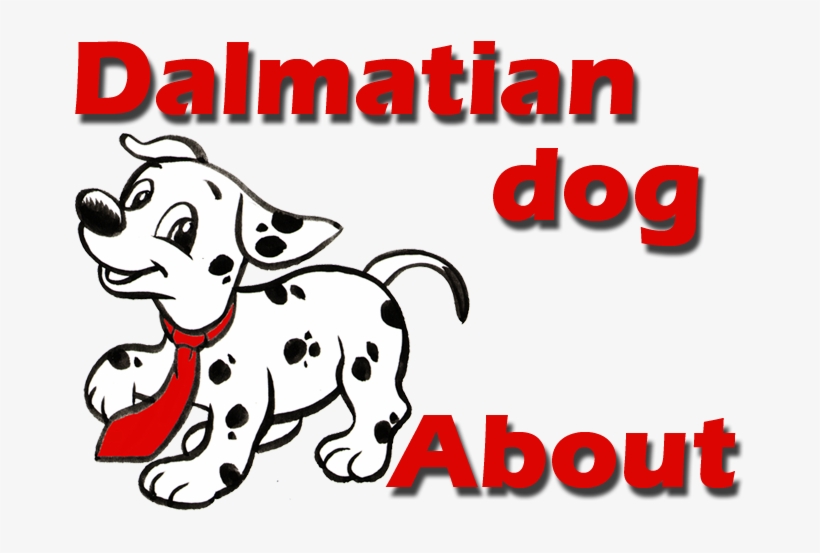 About Dalmatian Dog And Puppies - Dalmatian Dog & Puppy, transparent png download