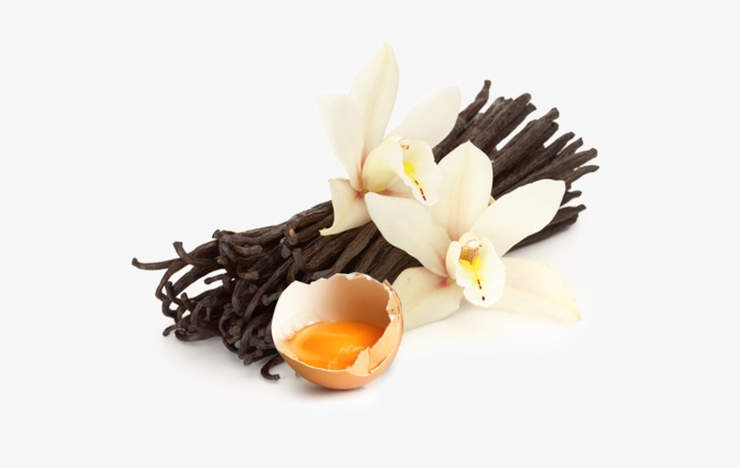 Madagascar Bourbon Vanilla - Perfumer's Apprentice Vanillin, transparent png download