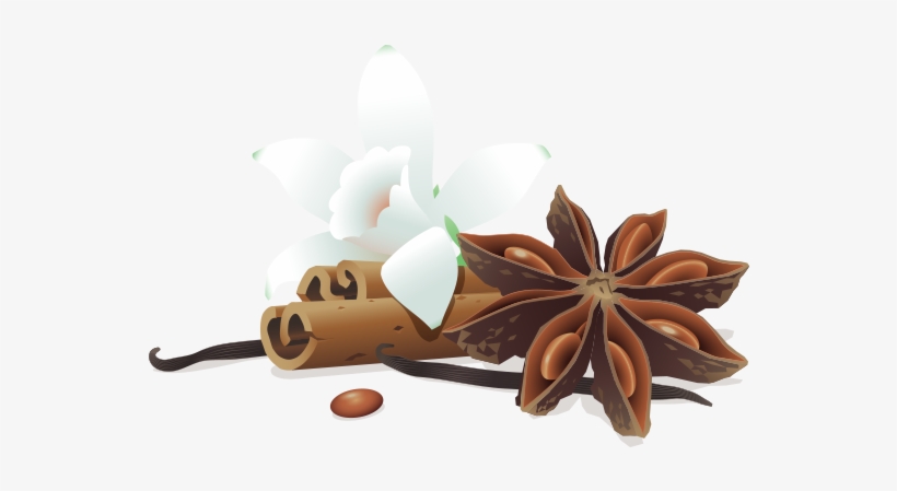 Illustration Of Vanilla Flower Leaning On Two Pieces - Plant Based Organic Protein Powder Bs, transparent png download