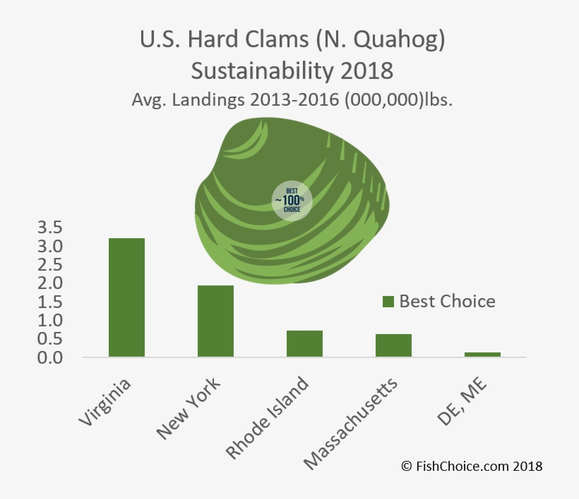 Hard Clam / Northern Quahog Sustainability - Hard Clam, transparent png download