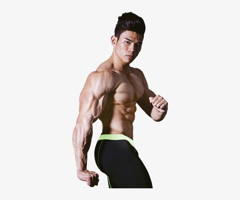 Bodybuilding Png - Terrence Teo Png, transparent png download