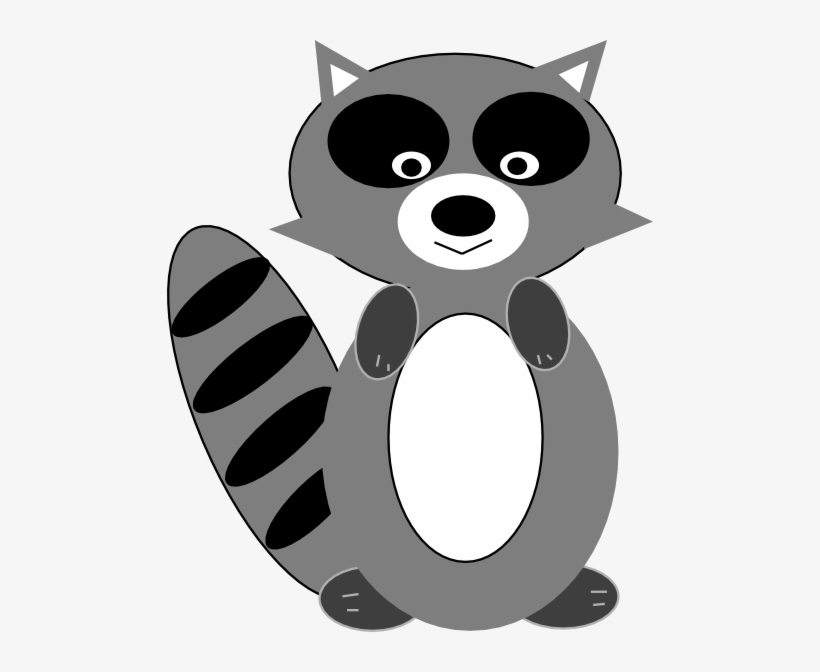 Photos And Videos - Raccoon Clipart Png, transparent png download