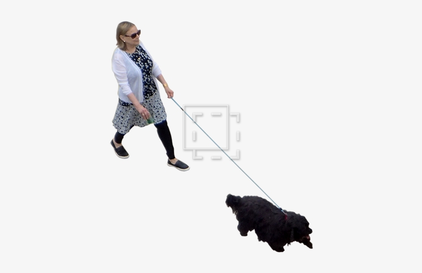 Woman With Dog Overhead View - Dog Walking, transparent png download