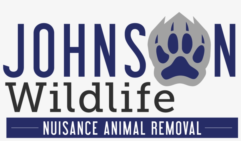 Johnson Wildlife, transparent png download