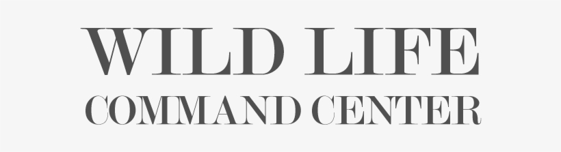 Foot And Ankle Logo, transparent png download