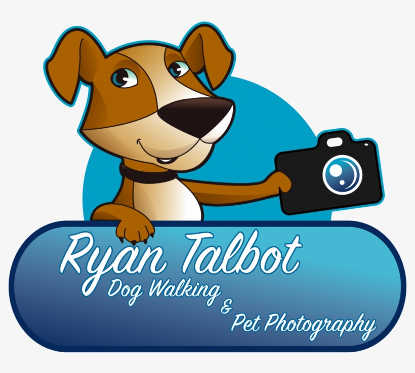Johns Island Dog Walker & Sitter - Dog Walking, transparent png download
