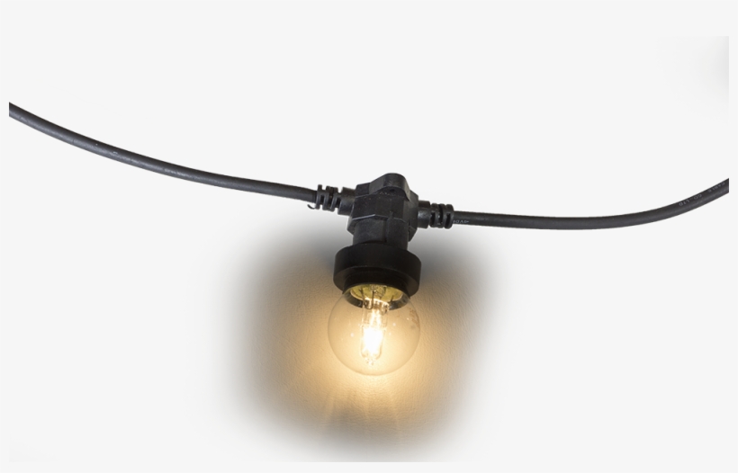 Festoon String 20m - Light Incandescent Png, transparent png download