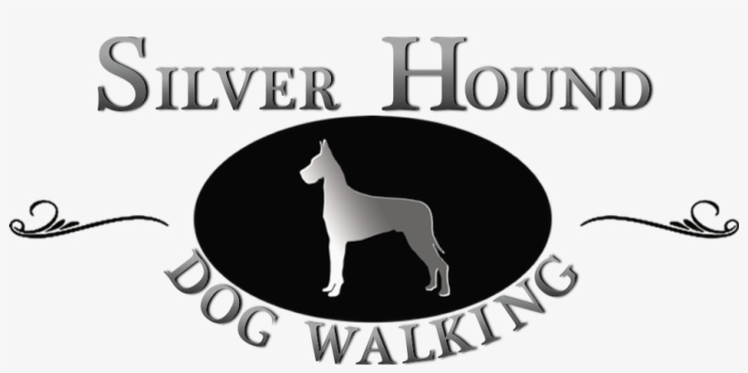 Dog Walking I Cat Sitting In Maplewood & South Orange, - Silver Hound Dog Walking & Cat Sitting, transparent png download