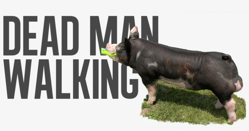 Dead Or Alive X Walk The Dog - Waxing, transparent png download