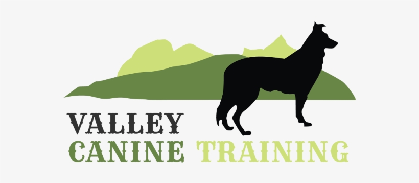 Dog Training Vernon And Lumby Bc - Valley Canine Training, transparent png download