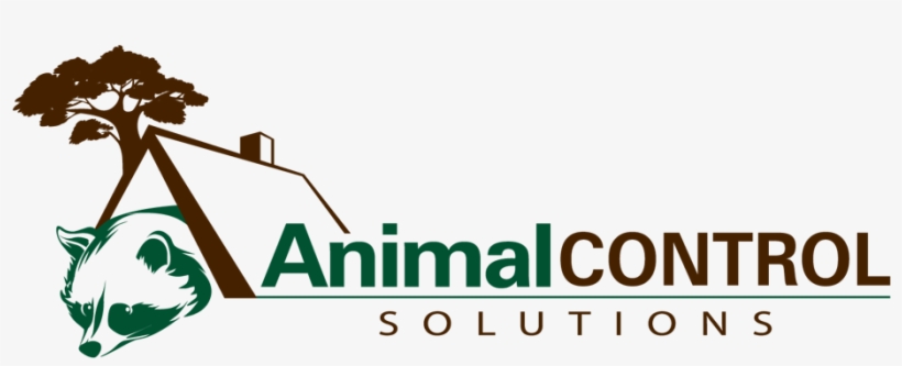 Alexandria Wildlife Removal - Wildlife Control, transparent png download