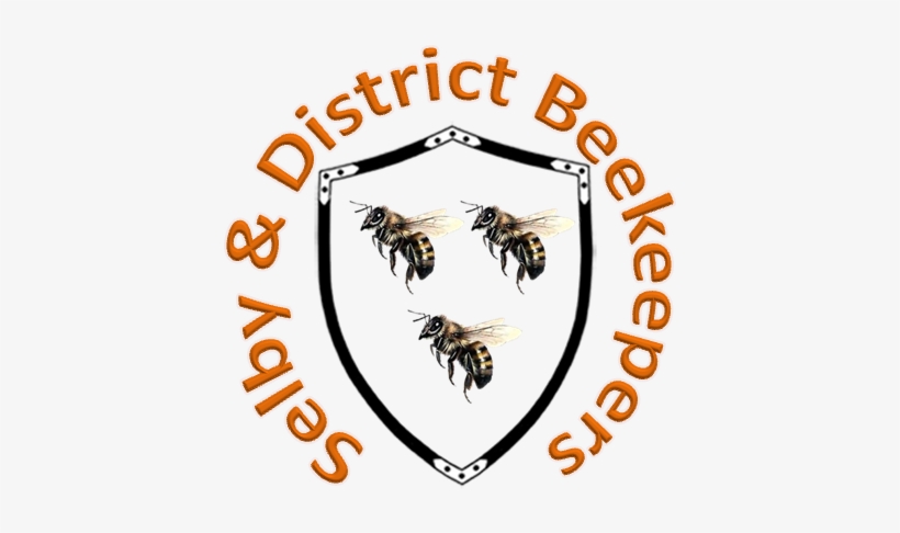 Honeybee, transparent png download