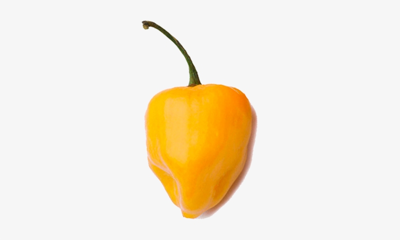 Habanero Yellow - Yellow, transparent png download