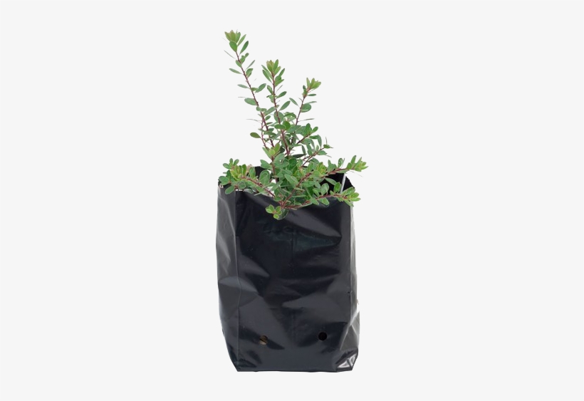 Nursery Bag - 1 Gallon Potting Bags, transparent png download