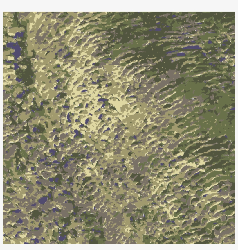 Vegetation Clipart Nasa Insignia Wetland - Grass, transparent png download