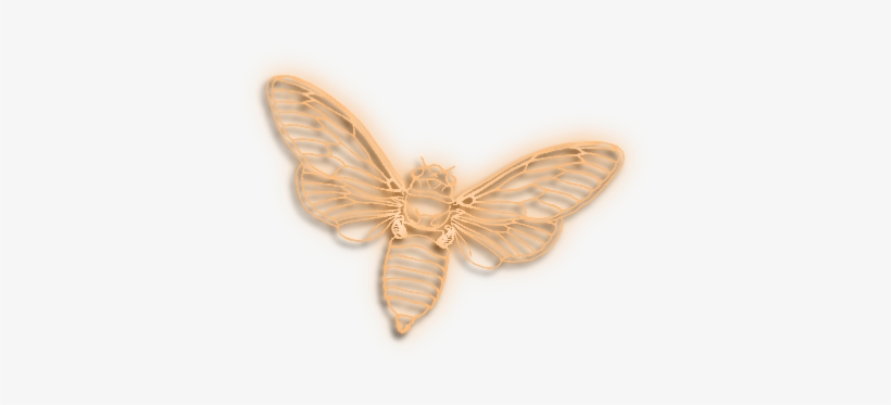 Butterfly 16 Transparent Background Png Transparent - Portable Network Graphics, transparent png download
