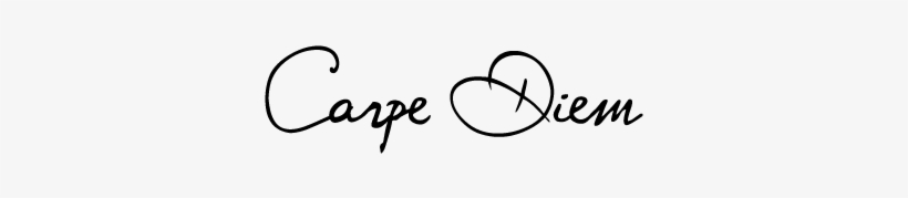 Image Png Carpe Diem Transparent Png 380x385 Free Download On Nicepng Image Png Carpe Diem Transparent Png 380x385 Free Download On Nicepng