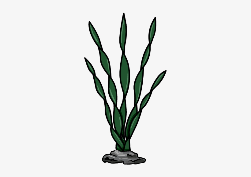 41, September 9, 2010 - Sea Weed Png, transparent png download