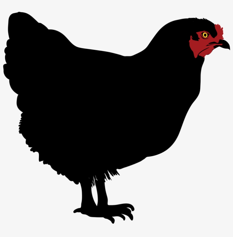 Chicken Silhouette - Chicken Silhouette Clip Art, transparent png download