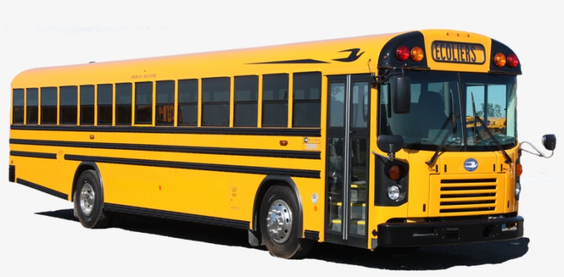 Blue Bird School Bus Tx4 - Autobus Blue Bird, transparent png download