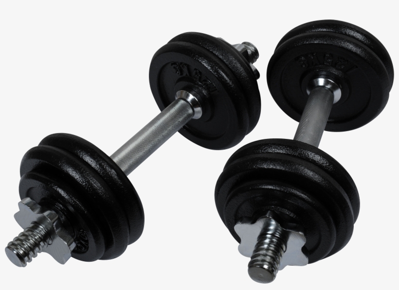 Best Free Dumbbell - Dumbbell, transparent png download