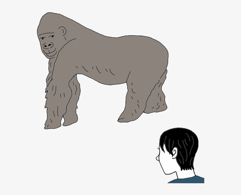 Gorilla, transparent png download