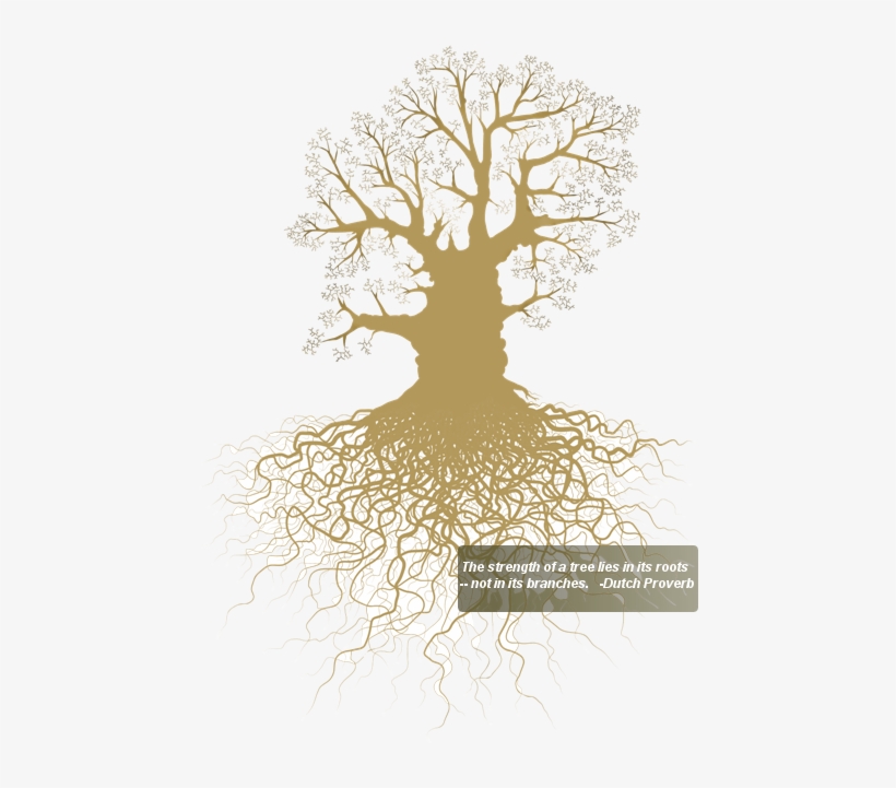 Oaktree2 - Roots Vector, transparent png download
