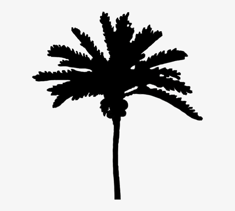 Silhouettes Of Palm Trees Png - Silhouette Cute Black Tree Png, transparent png download