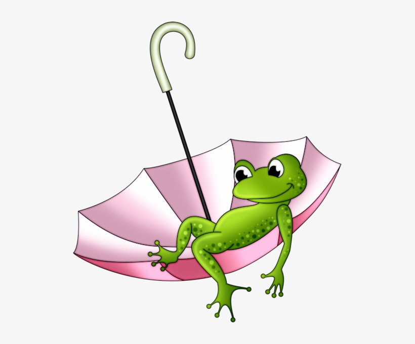 Dcd Prch Happy Frog - Zon En Regen Goodmorning, transparent png download