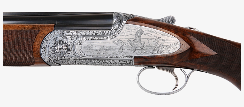 William Powell Perdix 12 Bore Shotgun - Shotgun, transparent png download