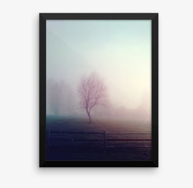 Vintage Lomo Processed Lonely Tree - Picture Frame, transparent png download