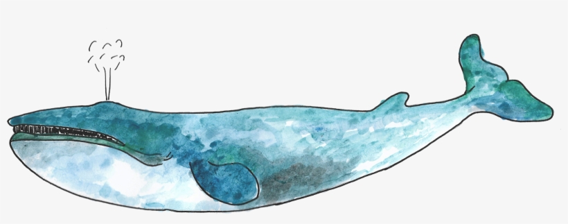 Wzór Bazujący Na Ręcznie Malowanych Elementach - Manatee, transparent png download