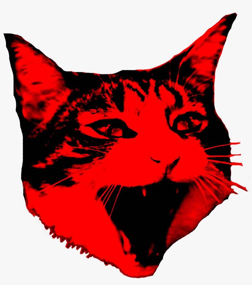 Cat Murphy Band, transparent png download