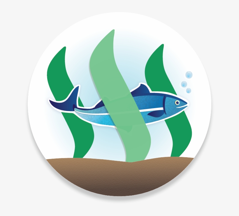 Weekly Resteem - Steemit, transparent png download