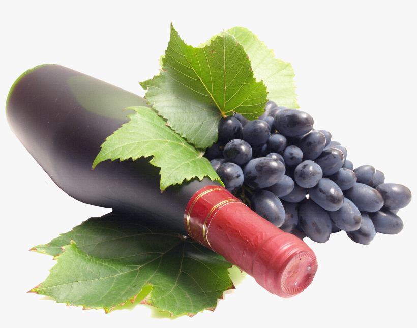 Free Png Black Grapes Png Images Transparent - Grape, transparent png download