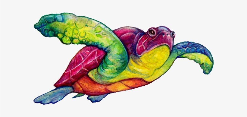 Magicful Home Rainbow Sea Turtle - Mug, transparent png download