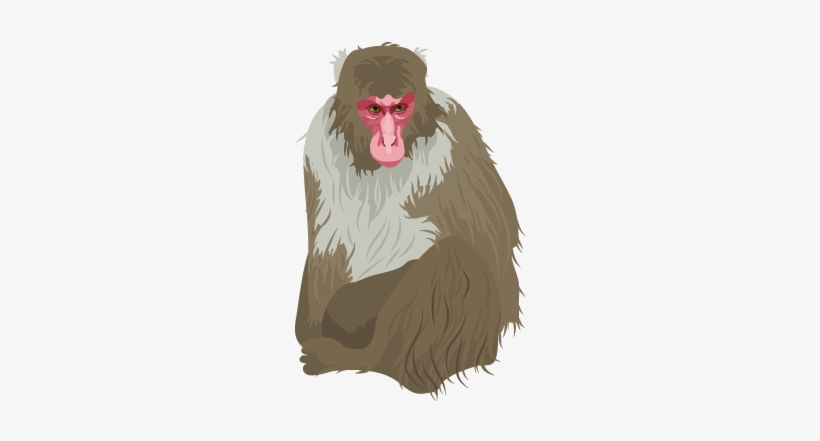 201412 Japanese Monkey - Clip Art, transparent png download