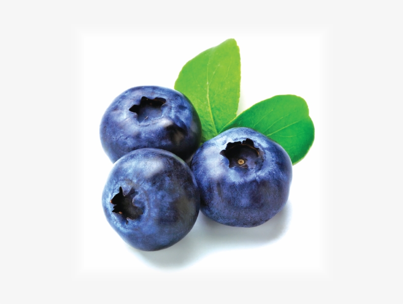 Blueberry - Imported Fruits In India, transparent png download