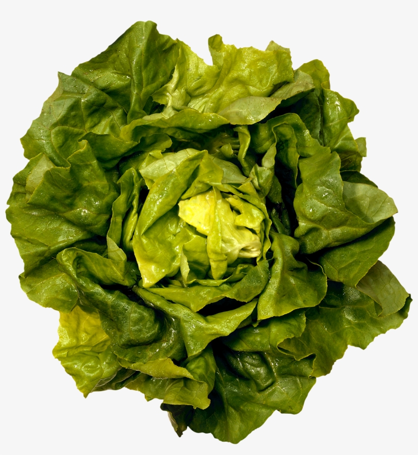 Salad Png, transparent png download