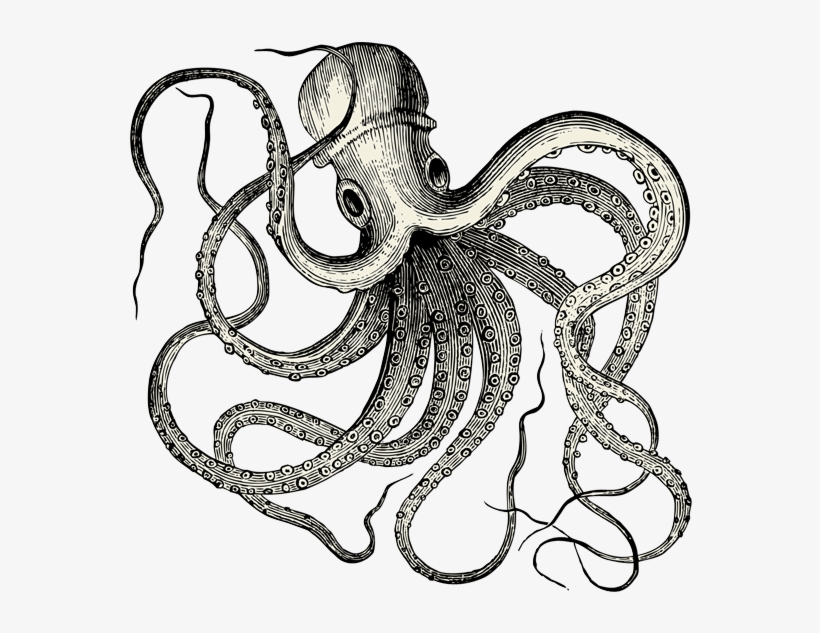 Download - Octopus Vintage, transparent png download