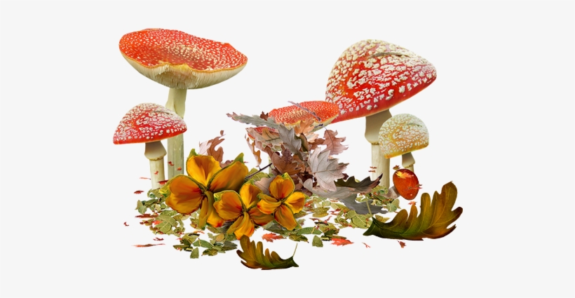 Visit - Tubes Automne Pour Créations, transparent png download