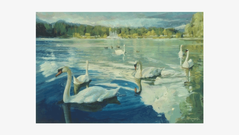 John Hannukaine - Tundra Swan, transparent png download