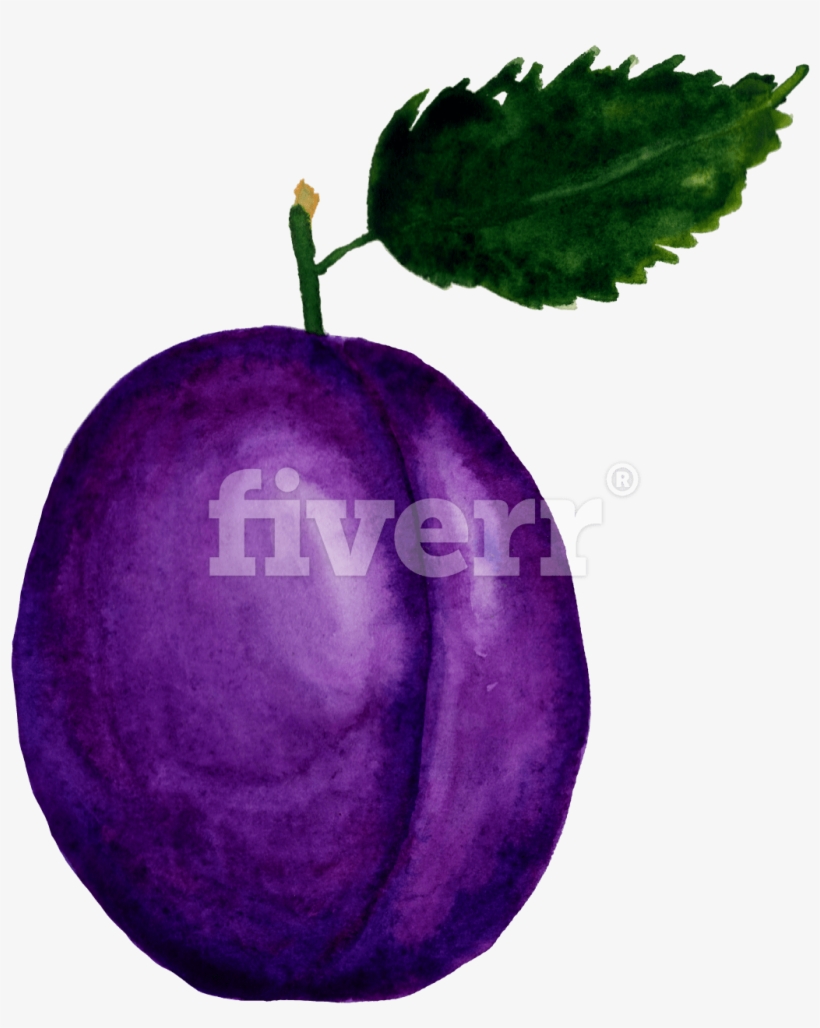Damson, transparent png download