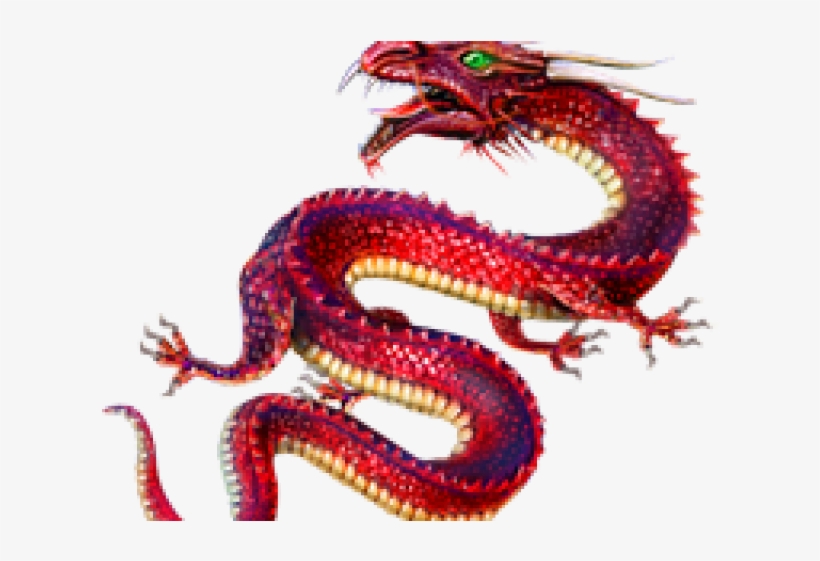 Wiki, transparent png download