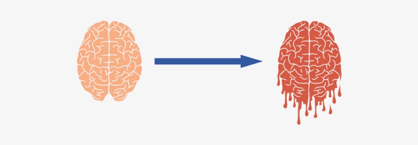 Brain Destruction From Cocaine Psychosis - Brain, transparent png download